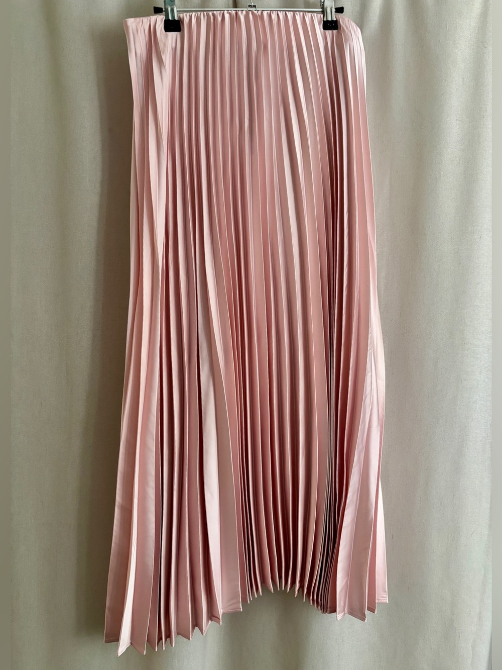 Dynamite Laure Pleated Maxi Skirt — Light Pink | M
